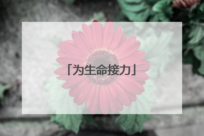 为生命接力
